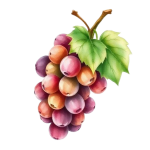 grapes